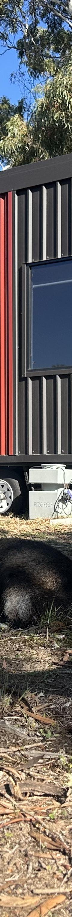 10m Single Level Tiny Home on Wheels | Dark Luxe Fit-Out | Optional Solar Trailer thumbnail 12