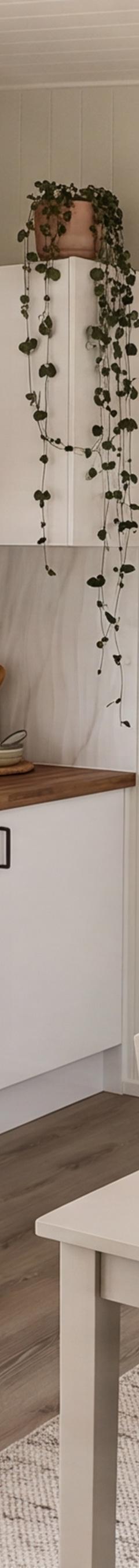 Move-In-Ready 2-Bedroom Tiny Home — Single Level 13.5m × 4m Extra-Wide On Skids thumbnail 6