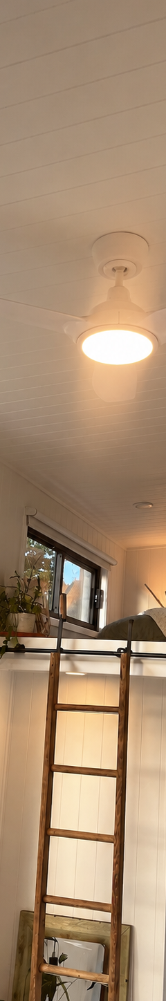 Mountain Ash Cottage: 7.2m Tiny Home on Wheels with French Doors & Servery Window thumbnail 4